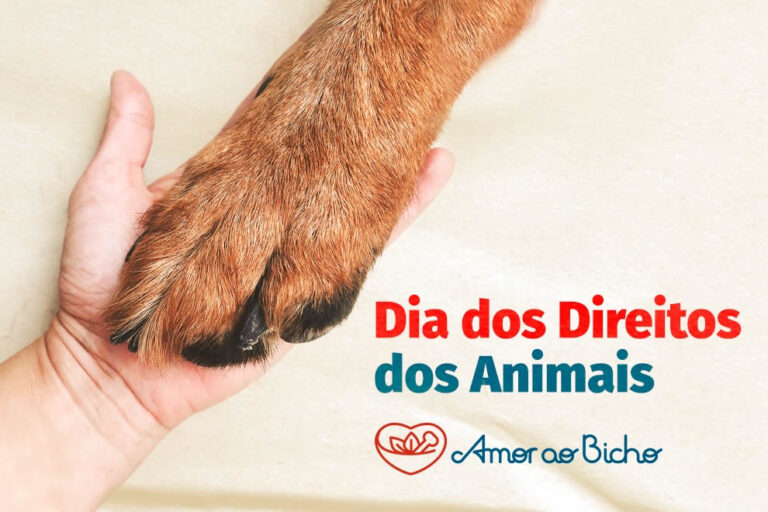 Dia dos Direitos dos Animais
